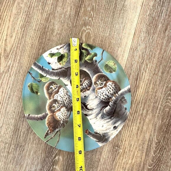 Knowles Co Northern Pygmy owls decorative plate - Picture 7 of 7